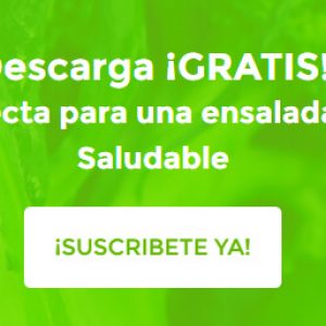 guia ensalada perfecta recetario gratis