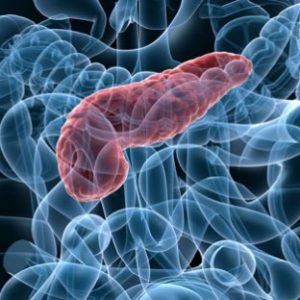 pancreas nutrición por tu salud